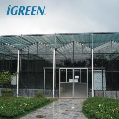 China Venlo Type Multi Span Glass Flower Commercial Greenhouse for sale