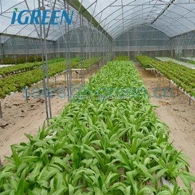 China Large PE Gutter Connect Sawtooth Greenhouse Metal Frame for sale