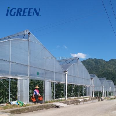 China PE Multi-Span Plastic Film Frame Agricultural Greenhouses Structure for sale