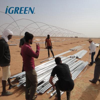 China PE Agriculture Multi Span Greenhouse Productive Greenhouse Construction For Sudan for sale