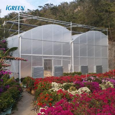 China PE 7m high saw tropical tine polytunnel greenhouse structure for aquaponics system for sale