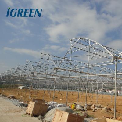 China PE Roof Fixed Duct Agricultural Commercial Greenhouse For Hydroponics System for sale