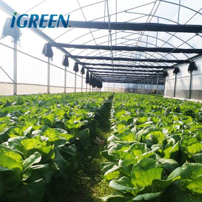 China PE Hot Dipped Galvanized Steel Agricultural Tomato Greenhouse Frame for sale