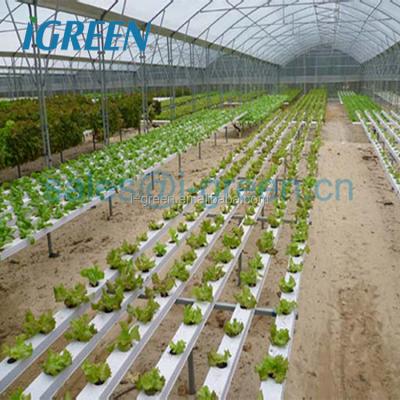 China PE Hot House Greenhouse Supplies For Tomato And Lettuce for sale