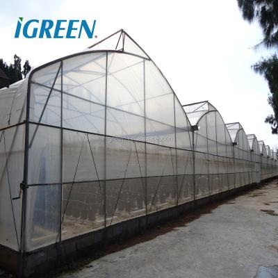 China PE Invernadero Agriculture Gutter Connect Greenhouse Agriculture for sale