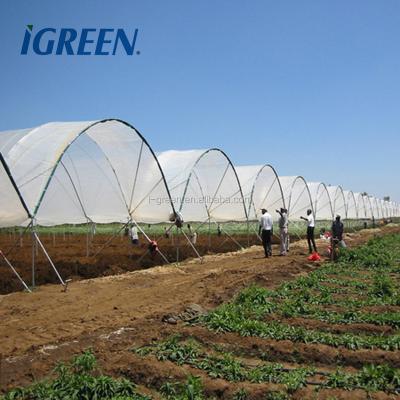 China PE Low Cost Plastic Growing Leaf Strawberry And Blueberry Greenhouse Supplies for sale