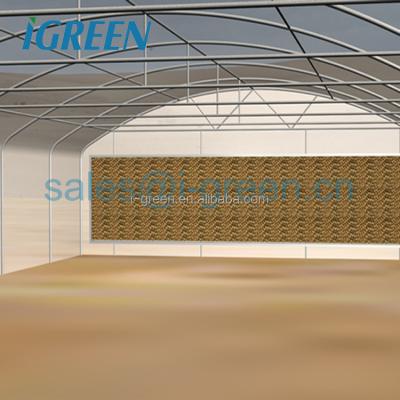 China Commercial PE Straight Wall Tunnel Greenhouse For Vegetable Growing for sale