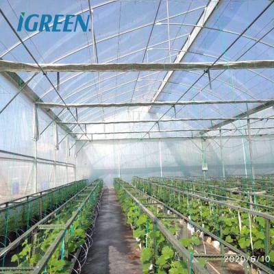 China PE reinforced double layer plastic film multi-span strong air inflated greenhouse for tropical and hurricane area for sale