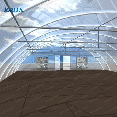 China PE Low Cost Single Tunnel Greenhouse For Desert Area for sale