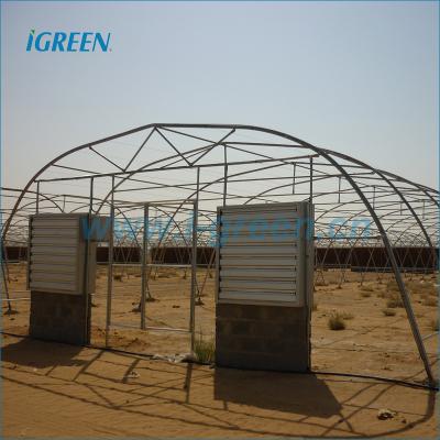 China PE Fiberglass Galvanized Frame Tunnel Greenhouse For Saudi Arabia for sale