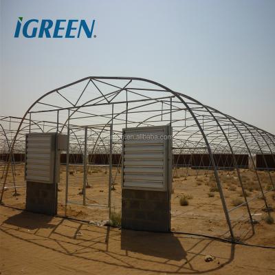 China PE 200 micron plastic sheet dome half moon greenhouse supplier for middle east for sale