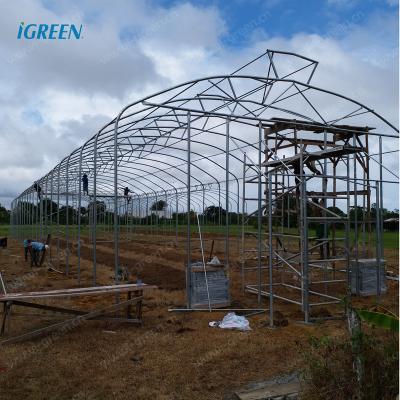 China High Tunnel Umbrella Shape PE Prefab Agriculture Greenhouse Steel Frame for sale