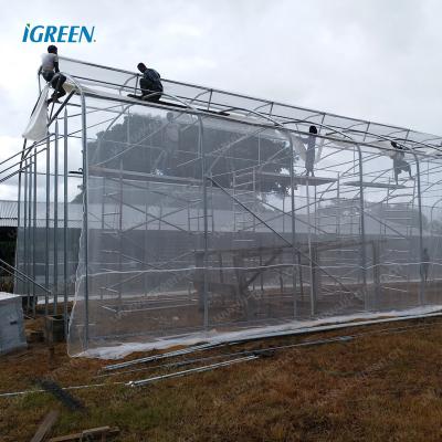 China Commercial tropical PE roof duct single-span greenhouses for tomato, lettuce, pepper for sale