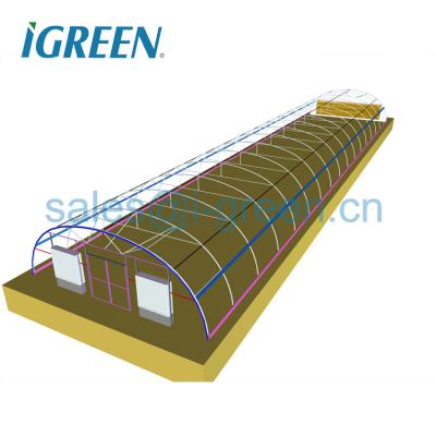 China PE low cost agricultural plastic green house for sale for sale