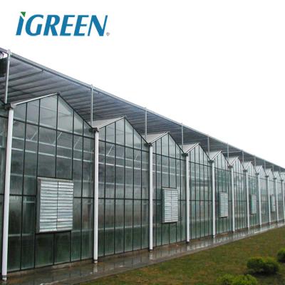 China Commercial glass greenhouse for flower for sale