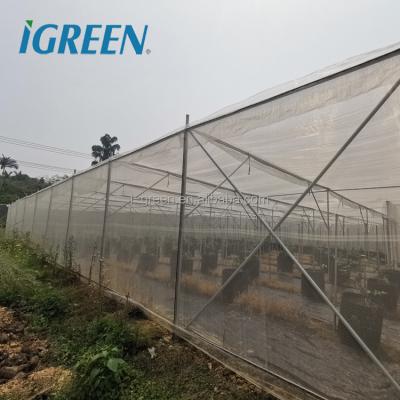 China Shade Netting or Insect Netting Insect Proof Netting Greenhouse Greenhouse Cover Netting for sale