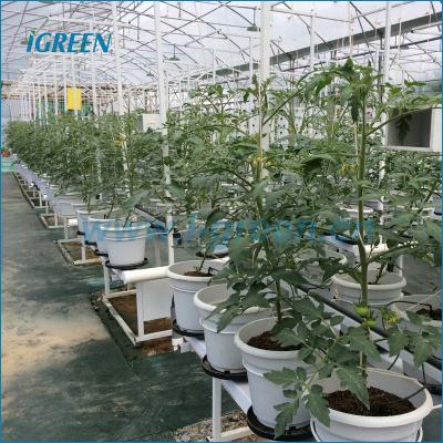 China Dutch PE Pot Vegetable Growing System for sale