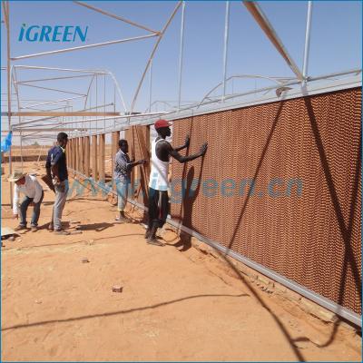 China PE+ EVA Cooling System for Greenhouse for sale