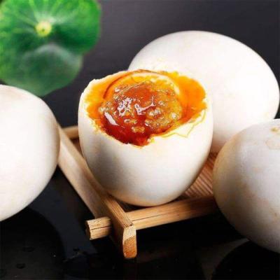 China PRESERVED Salted Duck Egg Wholesale Boiled Salted Eggs Chinese Salted Duck Eggs Supplier for sale