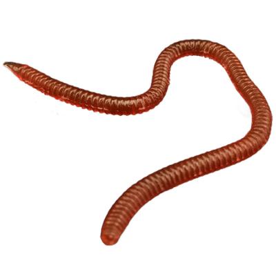 China WeiHe 8cm/10cm simulation 0.4g fake earthworm soft worm bait artificial tackle fishing soft lure WH-SL043 for sale