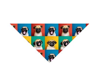 China Pug DETACHED Arnes Perro de Neopreno Accesorios Para Mascotas Neoprene Dog Harness Dog Collar Dog Leash Mesh Material for sale