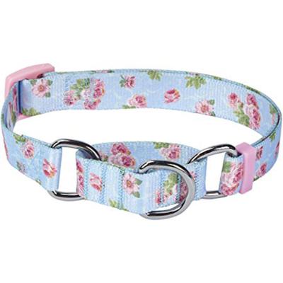 China Viable Pet Spring Scent Safety Training Martingale Dog Collar No Buckle With Customization Options for sale