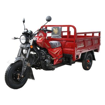 China Wanhoo Brand 250Cc Cheap Gas Powered Adult Motorcycle Three Wheel Cargo Tricycle for sale