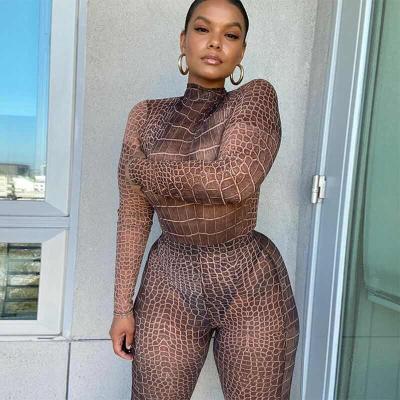 China New Hot Selling Antibacterial Leopard Print Mesh Sheer Jumpsuit Print Tops And Bottoms Women Two Piece Set for sale