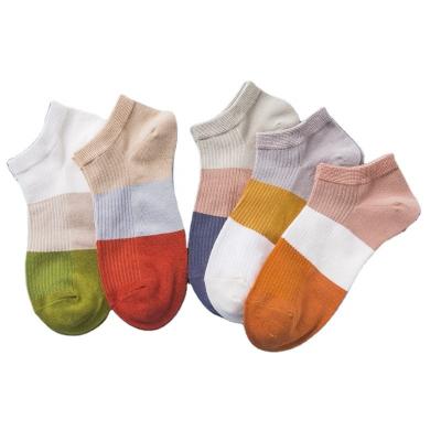 China Antibacterial High Quality Colorful Low Cut Socks Womens Cotton Low Cut Socks for sale