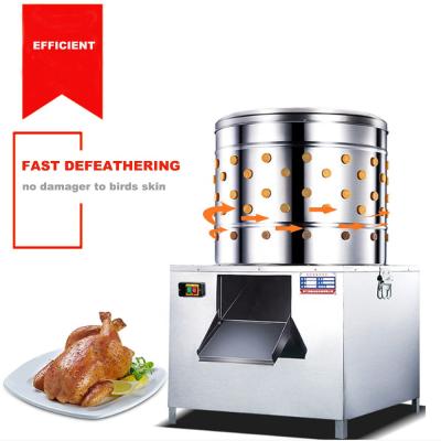 China High efficiency and simple operation factory price small scale poultry processing machinery slaughtering equipment scalding plucker for sale