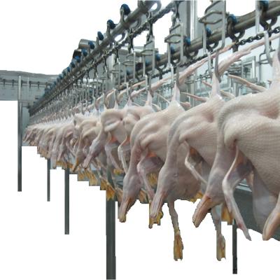 China POULTRY Factory Supply 1000-6000Pcs Duck Slaughtering Equipment / Poultry Processing Facility for sale