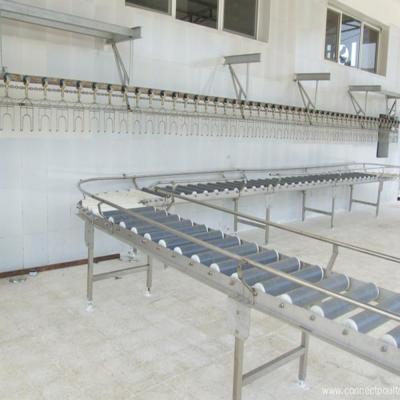 China Customized Best Choice Poultry Slaughter Line Good Quality Choice Broiler Slaughtering Equipment for sale