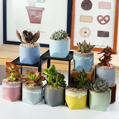 China High Grade Flower Pot Cartoon Mini Plant Artificial Floral Home Decoration Plants Bonsai Succulent Ceramic Office Desktop Vase for sale