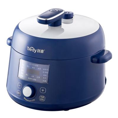 China Hotel 2.5L Multifunctional Hot Pot and Steamer Double Cap Electric Pressure Cooker New Design Household Small Portable Cooker Size for sale