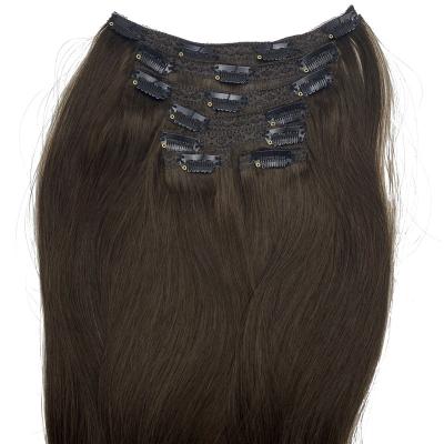 China 20 Inch 150g Silky Straight Dark Brown Natural Wave Clip In Hair Extensions 100% Human Hair Extension for sale