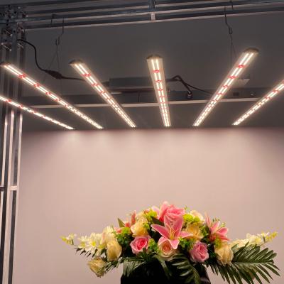 China Seed Starting Customized 240W 600W 630W 800W 1000W Full Spectrum t8 Led Grow Strip Light Bar Light Plant Indoor Grow Lights For Growing Equipment for sale