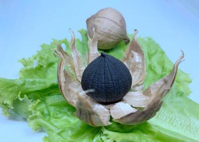 China Health Food Grade Fermented Black Garlic For High Blood Pressure for sale