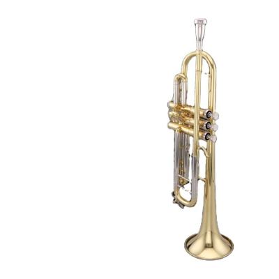 China Bb Tone Professional Gold Lacquer Trumpet with 7C Mouthpiece for sale