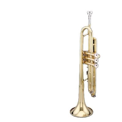 China Gold Lacquer TAISHAN Musical Instrument Bb Tone Basic Type Of Trumpet With 7C Mouthpiece for sale