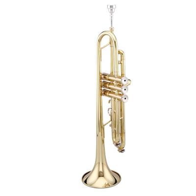 China Wholesale Gold Lacquer Musical Instruments Gold Lacquer Trumpet for School and Band for sale