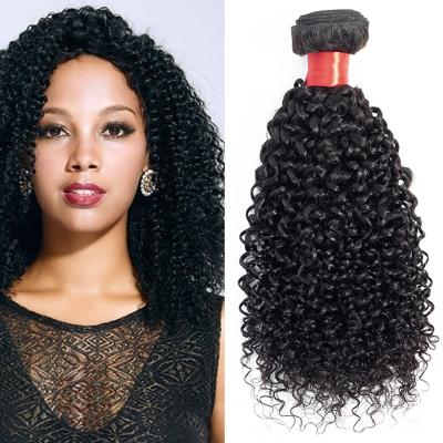 China 100% Hot Selling Curly Bundle Curly Hair With Cheap Kinky Curly Brazilian Remy Hair Bundles for sale