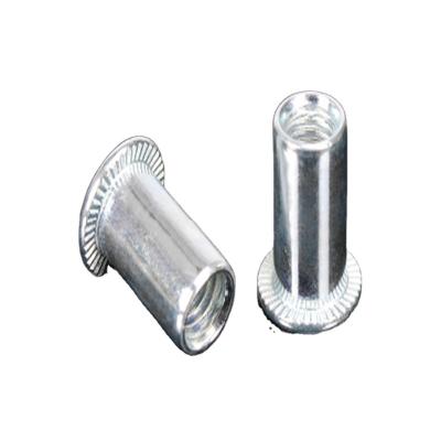 China Heavy industry new style hot selling flat head round body rivet nut stainless steel rivet nut for sale