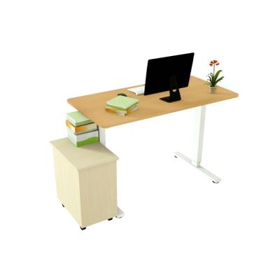 China Good Quality And Computer Desk Student Standing Height(height)Adjustable Desk Human Desk for sale