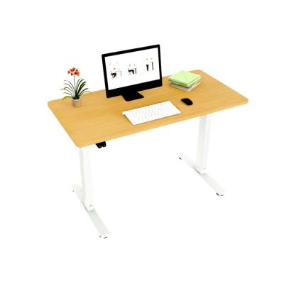 China Adjustable Computer Desk Study Desk (Height) Adjustable Human Electric Height Student Desk-Shop for sale