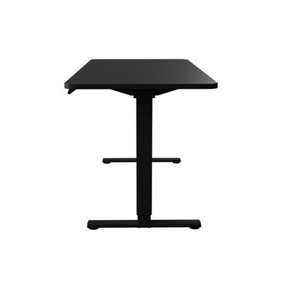 China Height(Height)Adjustable Human View Computer Game Table Electric Adjustable Executive Desk-Top-Quality for sale