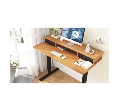 China Computer (Height) Adjustable Vertical Computer Desk Electric Lifting Structure Adjustable Human Desk With Keyboard Support for sale