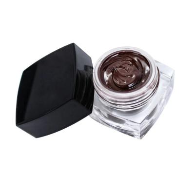 China Mixing Colors Permanent Makeup Pigments Dark Brown Microblading Pigment for sale