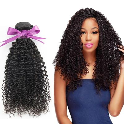 China Soft Curly Virgin Human Curly Hair Mink Wholesale Natural Color Hair Free Sample In Touch And Fashionable 100 Life Long Hair Product Hair Bundles For Ladies for sale