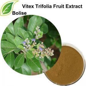 China Tratamiento de las enfermedades cardiovasculares del extracto de la fruta del 5% Vitexicarpin Vitex Trifolia en venta