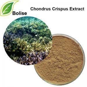 China Extracto de 80 Mesh Chondrus Crispus Plant Herbal en cuidado de piel en venta